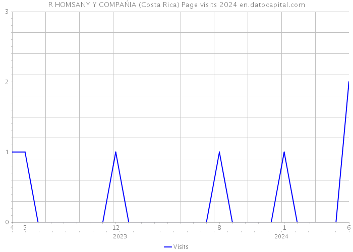 R HOMSANY Y COMPAŃIA (Costa Rica) Page visits 2024 
