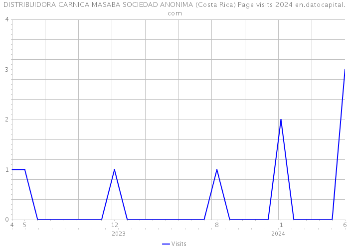 DISTRIBUIDORA CARNICA MASABA SOCIEDAD ANONIMA (Costa Rica) Page visits 2024 