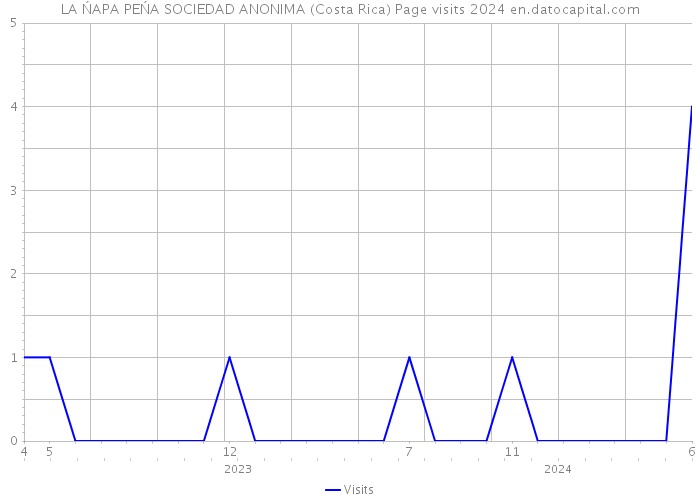 LA ŃAPA PEŃA SOCIEDAD ANONIMA (Costa Rica) Page visits 2024 