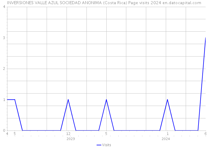 INVERSIONES VALLE AZUL SOCIEDAD ANONIMA (Costa Rica) Page visits 2024 