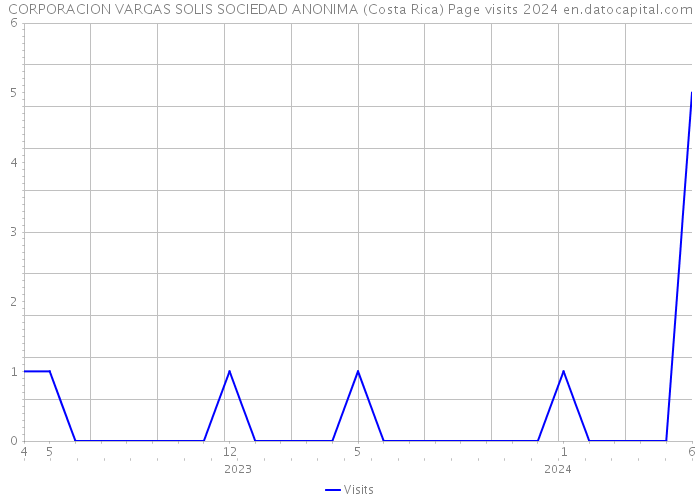 CORPORACION VARGAS SOLIS SOCIEDAD ANONIMA (Costa Rica) Page visits 2024 