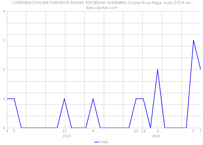 CORPORACION MATAMOROS PALMA SOCIEDAD ANONIMA (Costa Rica) Page visits 2024 