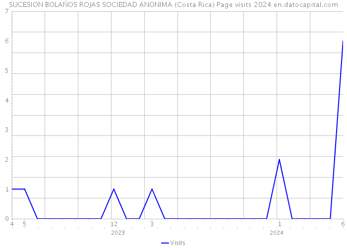 SUCESION BOLAŃOS ROJAS SOCIEDAD ANONIMA (Costa Rica) Page visits 2024 