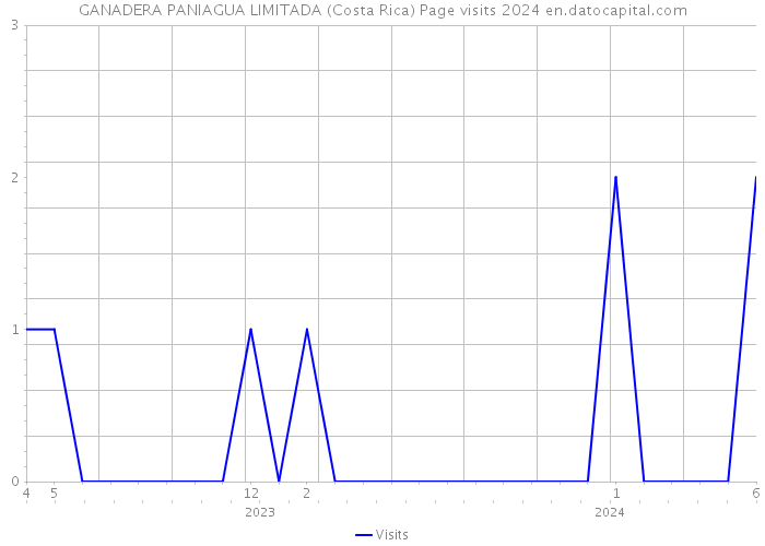 GANADERA PANIAGUA LIMITADA (Costa Rica) Page visits 2024 