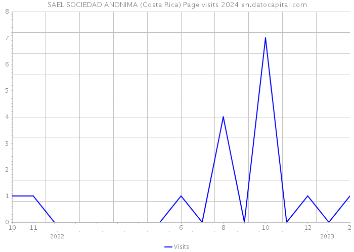 SAEL SOCIEDAD ANONIMA (Costa Rica) Page visits 2024 