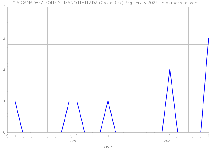 CIA GANADERA SOLIS Y LIZANO LIMITADA (Costa Rica) Page visits 2024 