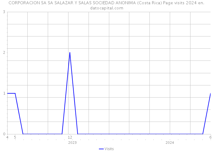 CORPORACION SA SA SALAZAR Y SALAS SOCIEDAD ANONIMA (Costa Rica) Page visits 2024 