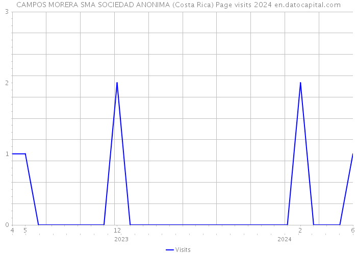 CAMPOS MORERA SMA SOCIEDAD ANONIMA (Costa Rica) Page visits 2024 
