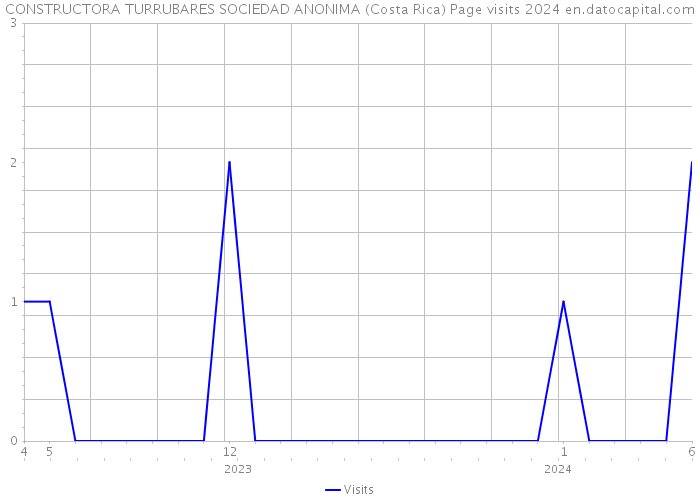 CONSTRUCTORA TURRUBARES SOCIEDAD ANONIMA (Costa Rica) Page visits 2024 