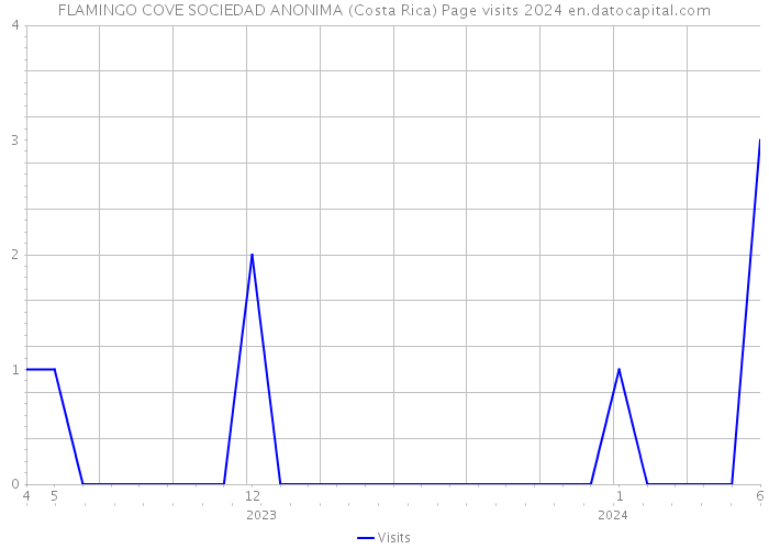 FLAMINGO COVE SOCIEDAD ANONIMA (Costa Rica) Page visits 2024 