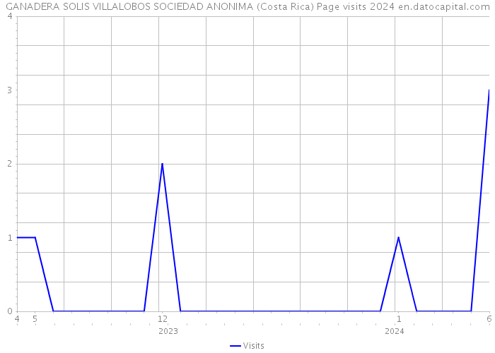 GANADERA SOLIS VILLALOBOS SOCIEDAD ANONIMA (Costa Rica) Page visits 2024 
