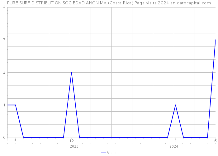 PURE SURF DISTRIBUTION SOCIEDAD ANONIMA (Costa Rica) Page visits 2024 