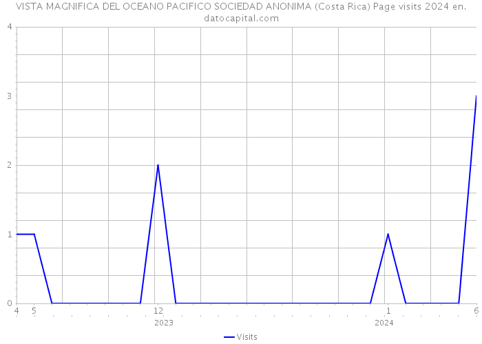 VISTA MAGNIFICA DEL OCEANO PACIFICO SOCIEDAD ANONIMA (Costa Rica) Page visits 2024 