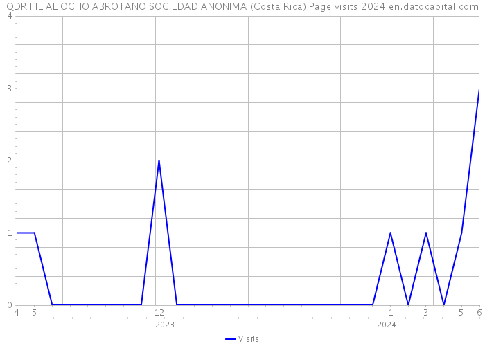 QDR FILIAL OCHO ABROTANO SOCIEDAD ANONIMA (Costa Rica) Page visits 2024 