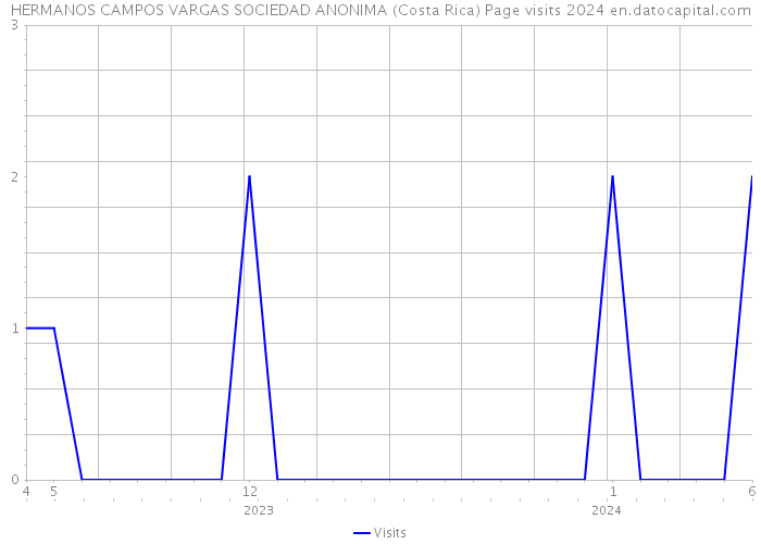 HERMANOS CAMPOS VARGAS SOCIEDAD ANONIMA (Costa Rica) Page visits 2024 
