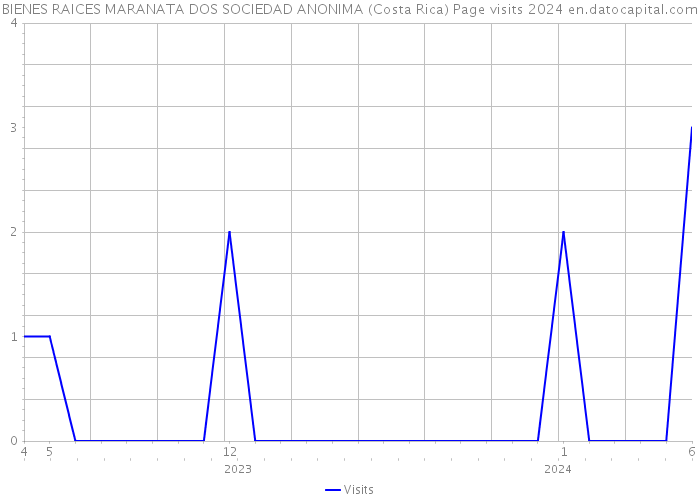BIENES RAICES MARANATA DOS SOCIEDAD ANONIMA (Costa Rica) Page visits 2024 