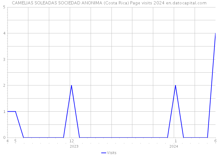 CAMELIAS SOLEADAS SOCIEDAD ANONIMA (Costa Rica) Page visits 2024 