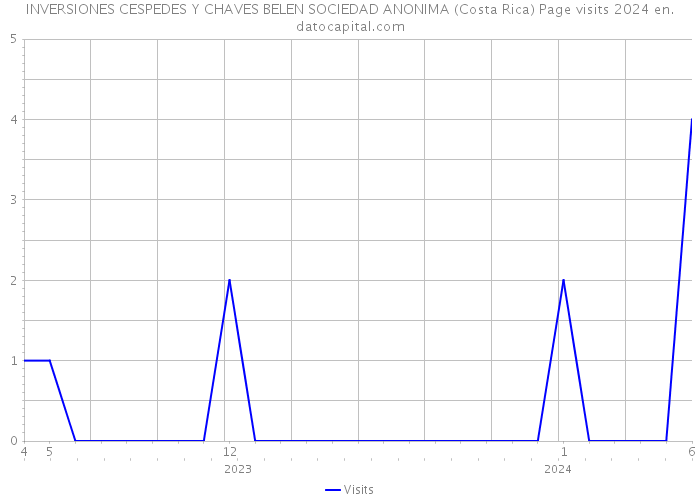 INVERSIONES CESPEDES Y CHAVES BELEN SOCIEDAD ANONIMA (Costa Rica) Page visits 2024 