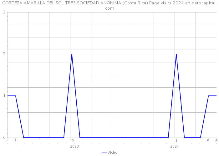 CORTEZA AMARILLA DEL SOL TRES SOCIEDAD ANONIMA (Costa Rica) Page visits 2024 