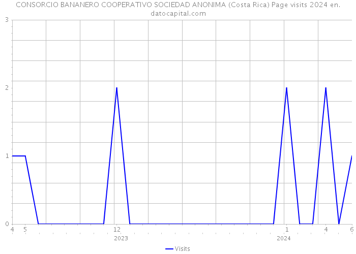 CONSORCIO BANANERO COOPERATIVO SOCIEDAD ANONIMA (Costa Rica) Page visits 2024 