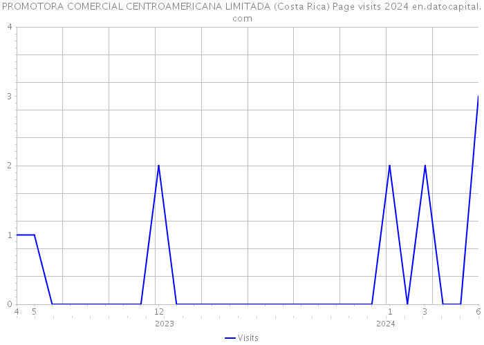 PROMOTORA COMERCIAL CENTROAMERICANA LIMITADA (Costa Rica) Page visits 2024 