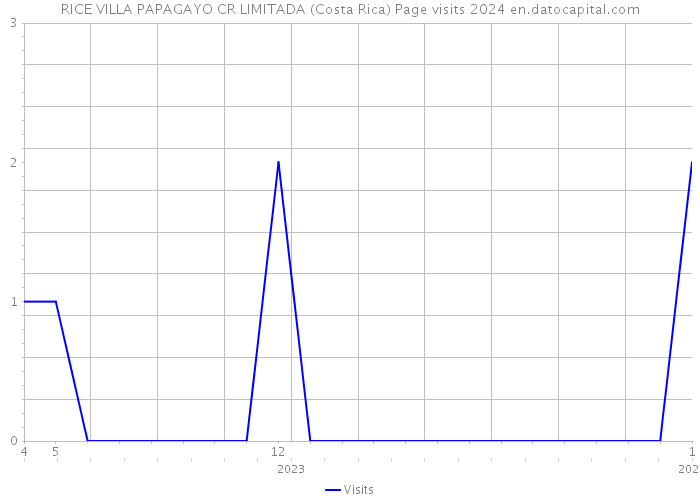 RICE VILLA PAPAGAYO CR LIMITADA (Costa Rica) Page visits 2024 