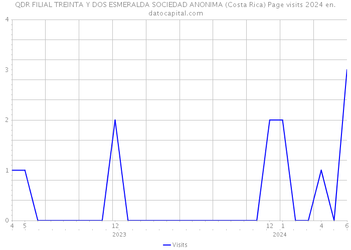 QDR FILIAL TREINTA Y DOS ESMERALDA SOCIEDAD ANONIMA (Costa Rica) Page visits 2024 