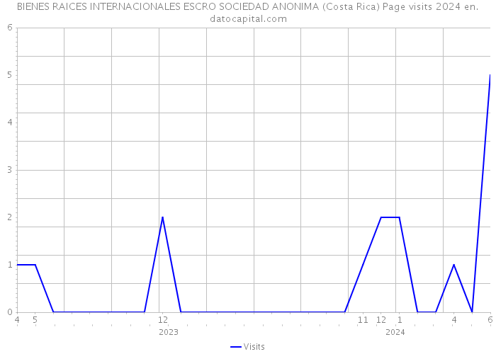 BIENES RAICES INTERNACIONALES ESCRO SOCIEDAD ANONIMA (Costa Rica) Page visits 2024 