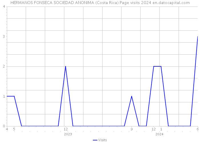 HERMANOS FONSECA SOCIEDAD ANONIMA (Costa Rica) Page visits 2024 