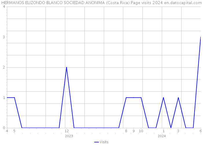 HERMANOS ELIZONDO BLANCO SOCIEDAD ANONIMA (Costa Rica) Page visits 2024 