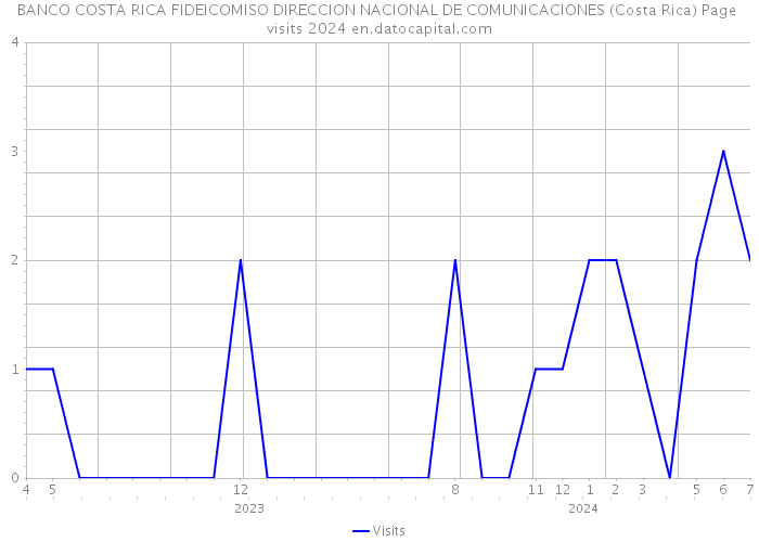BANCO COSTA RICA FIDEICOMISO DIRECCION NACIONAL DE COMUNICACIONES (Costa Rica) Page visits 2024 