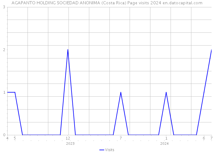 AGAPANTO HOLDING SOCIEDAD ANONIMA (Costa Rica) Page visits 2024 