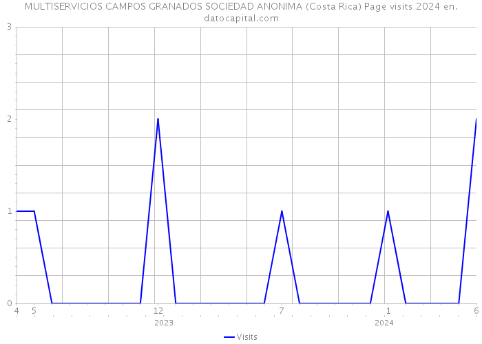 MULTISERVICIOS CAMPOS GRANADOS SOCIEDAD ANONIMA (Costa Rica) Page visits 2024 