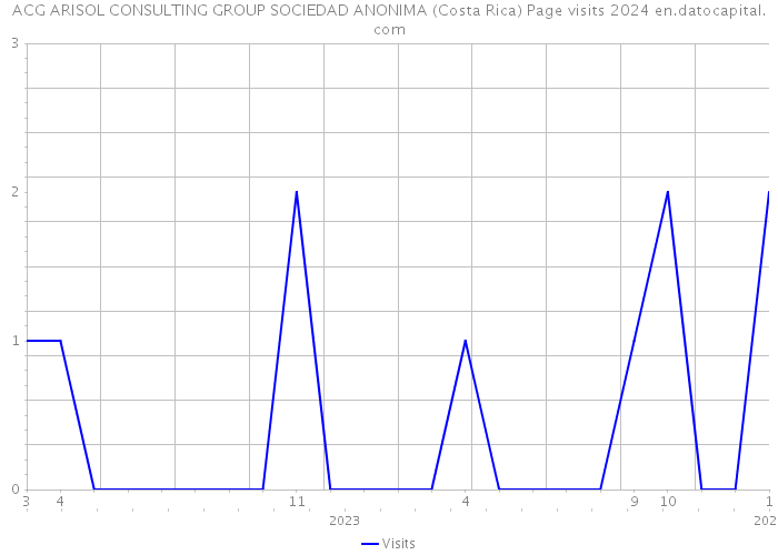 ACG ARISOL CONSULTING GROUP SOCIEDAD ANONIMA (Costa Rica) Page visits 2024 