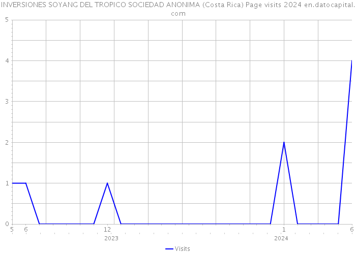 INVERSIONES SOYANG DEL TROPICO SOCIEDAD ANONIMA (Costa Rica) Page visits 2024 