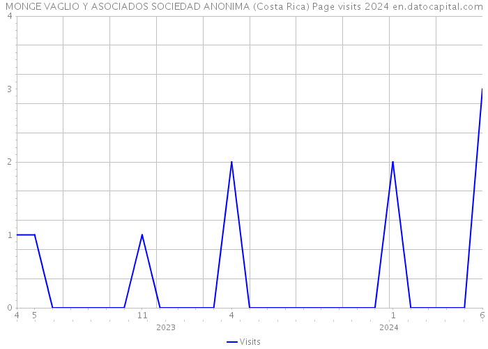 MONGE VAGLIO Y ASOCIADOS SOCIEDAD ANONIMA (Costa Rica) Page visits 2024 