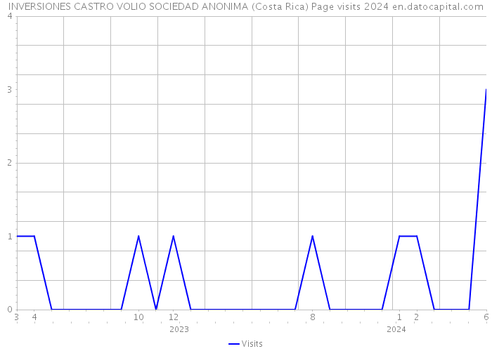 INVERSIONES CASTRO VOLIO SOCIEDAD ANONIMA (Costa Rica) Page visits 2024 