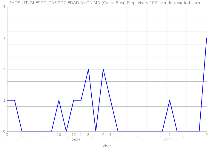 SATELLITUM ESCOLTAS SOCIEDAD ANONIMA (Costa Rica) Page visits 2024 