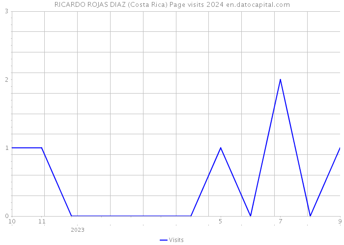 RICARDO ROJAS DIAZ (Costa Rica) Page visits 2024 