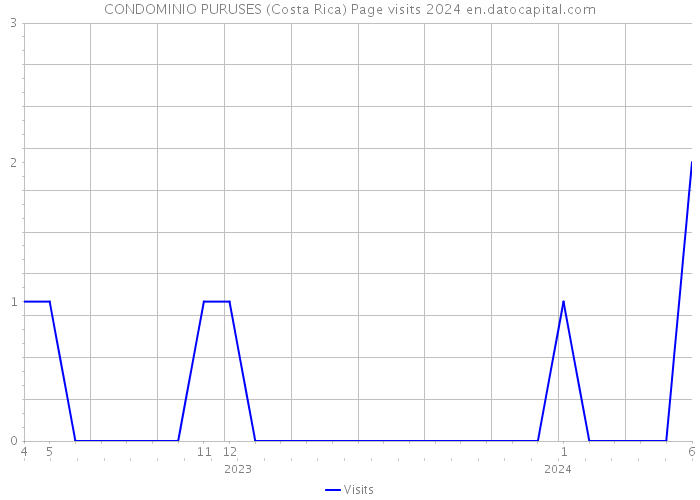 CONDOMINIO PURUSES (Costa Rica) Page visits 2024 