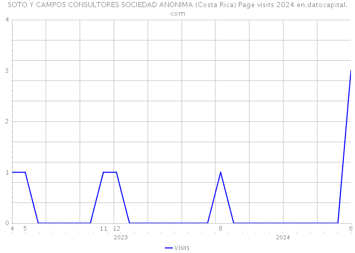 SOTO Y CAMPOS CONSULTORES SOCIEDAD ANONIMA (Costa Rica) Page visits 2024 
