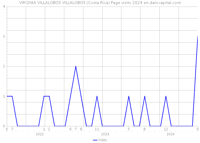 VIRGINIA VILLALOBOS VILLALOBOS (Costa Rica) Page visits 2024 