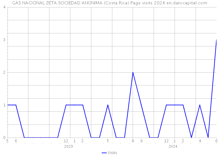 GAS NACIONAL ZETA SOCIEDAD ANONIMA (Costa Rica) Page visits 2024 
