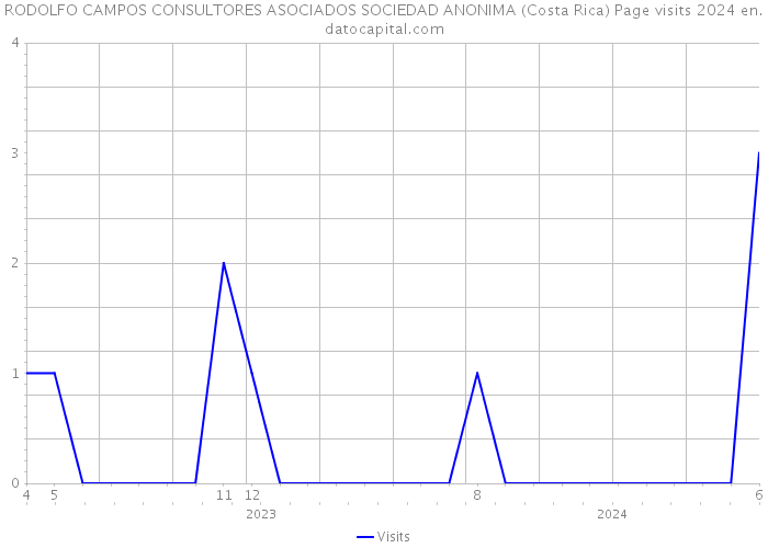 RODOLFO CAMPOS CONSULTORES ASOCIADOS SOCIEDAD ANONIMA (Costa Rica) Page visits 2024 