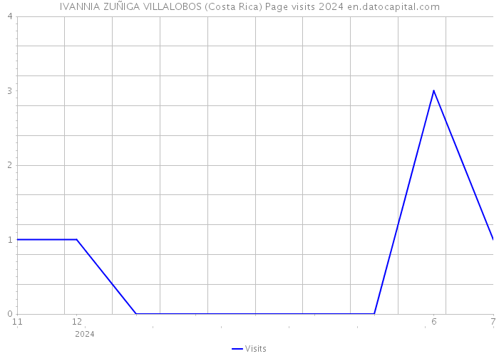 IVANNIA ZUÑIGA VILLALOBOS (Costa Rica) Page visits 2024 