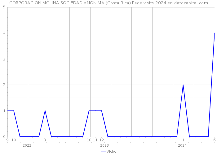 CORPORACION MOLINA SOCIEDAD ANONIMA (Costa Rica) Page visits 2024 