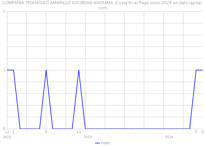 COMPAŃIA TRIANGULO AMARILLO SOCIEDAD ANONIMA (Costa Rica) Page visits 2024 