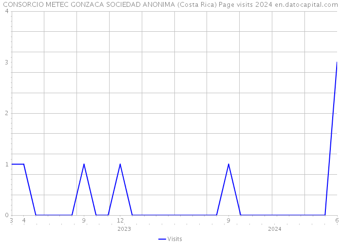 CONSORCIO METEC GONZACA SOCIEDAD ANONIMA (Costa Rica) Page visits 2024 