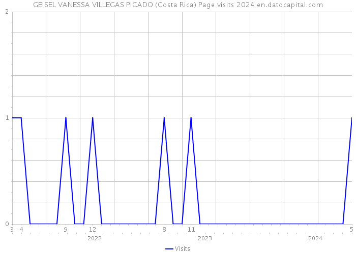 GEISEL VANESSA VILLEGAS PICADO (Costa Rica) Page visits 2024 