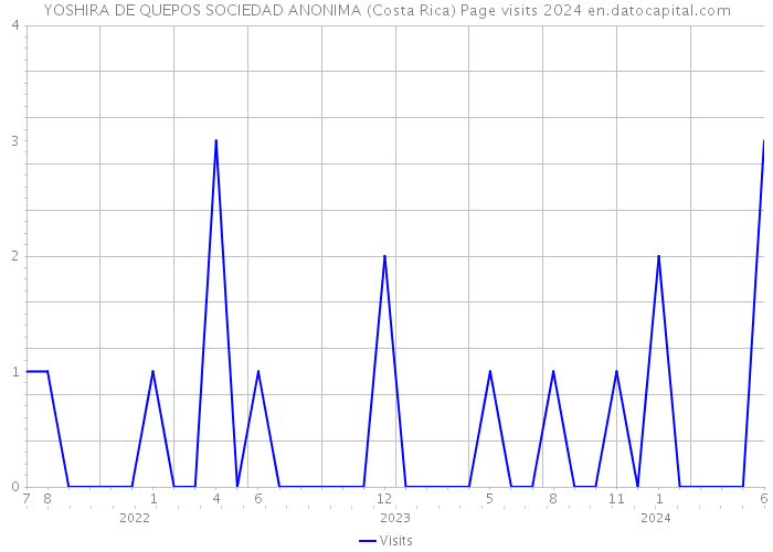 YOSHIRA DE QUEPOS SOCIEDAD ANONIMA (Costa Rica) Page visits 2024 